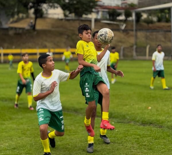 Projeto Caju